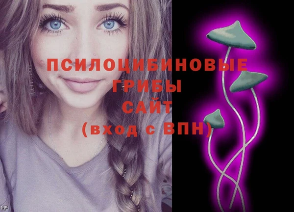 мет Алзамай