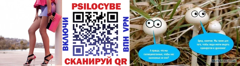 Галлюциногенные грибы мухоморы  Олонец 